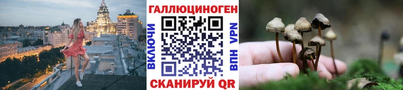 наркота  Темрюк  Галлюциногенные грибы Cubensis 
